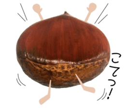 Marron of sweet chestnut sticker #13728656