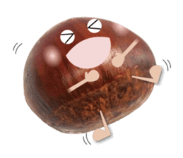 Marron of sweet chestnut sticker #13728657
