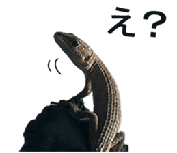Reptiles! Japanese Grass Lizard Stickers sticker #13728824