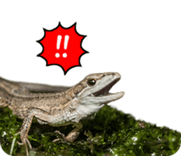 Reptiles! Japanese Grass Lizard Stickers sticker #13728825