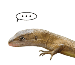 Reptiles! Japanese Grass Lizard Stickers sticker #13728826