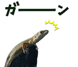 Reptiles! Japanese Grass Lizard Stickers sticker #13728827