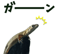 Reptiles! Japanese Grass Lizard Stickers sticker #13728827