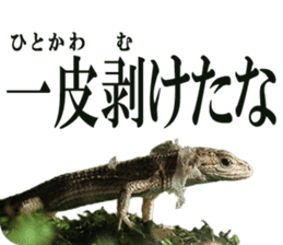 Reptiles! Japanese Grass Lizard Stickers sticker #13728830