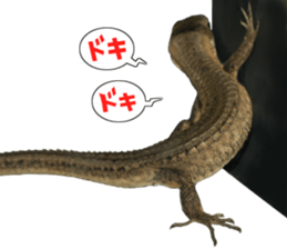 Reptiles! Japanese Grass Lizard Stickers sticker #13728831