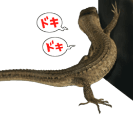 Reptiles! Japanese Grass Lizard Stickers sticker #13728831