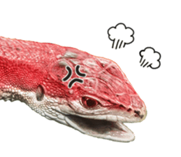 Reptiles! Japanese Grass Lizard Stickers sticker #13728832