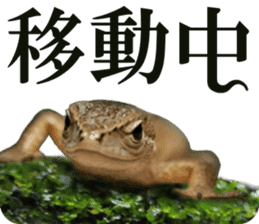 Reptiles! Japanese Grass Lizard Stickers sticker #13728833