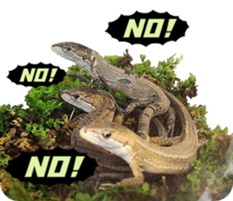Reptiles! Japanese Grass Lizard Stickers sticker #13728835