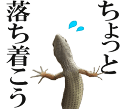 Reptiles! Japanese Grass Lizard Stickers sticker #13728836