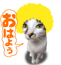 Interesting dog cat sticker sticker #13729310