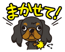 iinu - King Charles Spaniel sticker #13729424