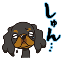 iinu - King Charles Spaniel sticker #13729436