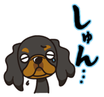 iinu - King Charles Spaniel sticker #13729436