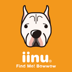 iinu - Dogo Argentino