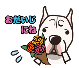 iinu - Dogo Argentino sticker #13729446