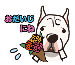 iinu - Dogo Argentino sticker #13729446