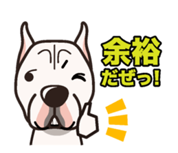 iinu - Dogo Argentino sticker #13729447