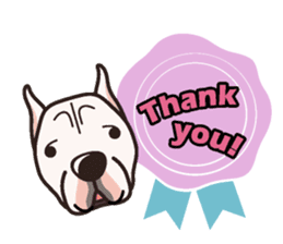 iinu - Dogo Argentino sticker #13729450
