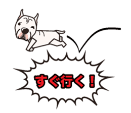 iinu - Dogo Argentino sticker #13729479