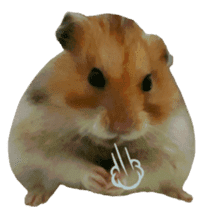 Golden Hamster~MoMoJai~(Eng ver.) sticker #13729998
