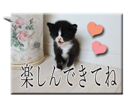 Howl2 sticker #13730684