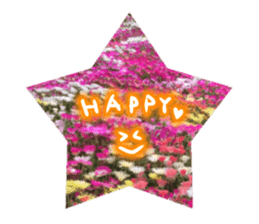 photo flower sticker sticker #13731201