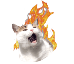 Cat sector spokesperson sticker #13731738