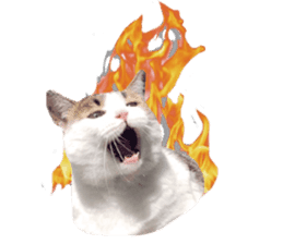 Cat sector spokesperson sticker #13731738