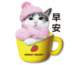 Cat sector spokesperson sticker #13731739