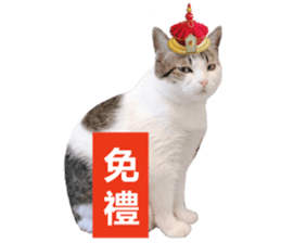 Cat sector spokesperson sticker #13731743