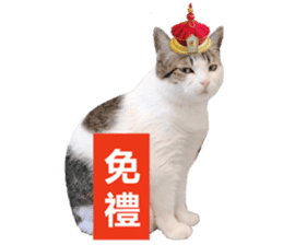 Cat sector spokesperson sticker #13731743