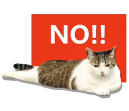 Cat sector spokesperson sticker #13731744