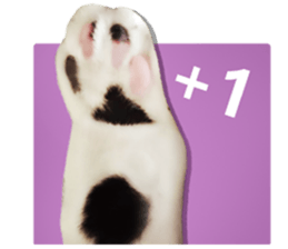 Cat sector spokesperson sticker #13731749