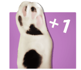 Cat sector spokesperson sticker #13731749