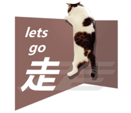 Cat sector spokesperson sticker #13731752