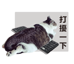 Cat sector spokesperson sticker #13731758