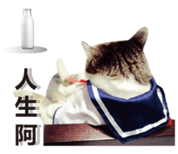 Cat sector spokesperson sticker #13731761