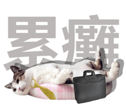 Cat sector spokesperson sticker #13731762