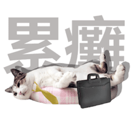 Cat sector spokesperson sticker #13731762