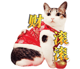 Cat sector spokesperson sticker #13731768