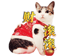 Cat sector spokesperson sticker #13731768