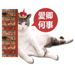 Cat sector spokesperson sticker #13731769
