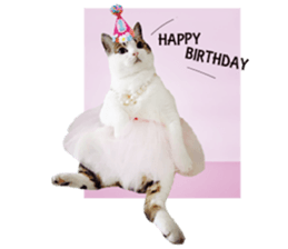 Cat sector spokesperson sticker #13731771