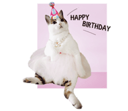 Cat sector spokesperson sticker #13731771