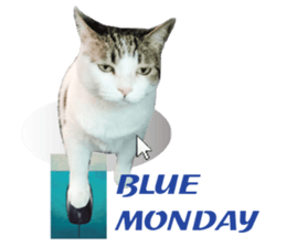 Cat sector spokesperson sticker #13731772