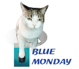 Cat sector spokesperson sticker #13731772