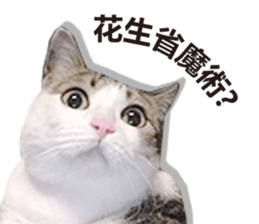 Cat sector spokesperson sticker #13731773