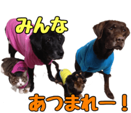 candy family sticker #13732134