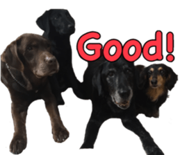 candy family sticker #13732135